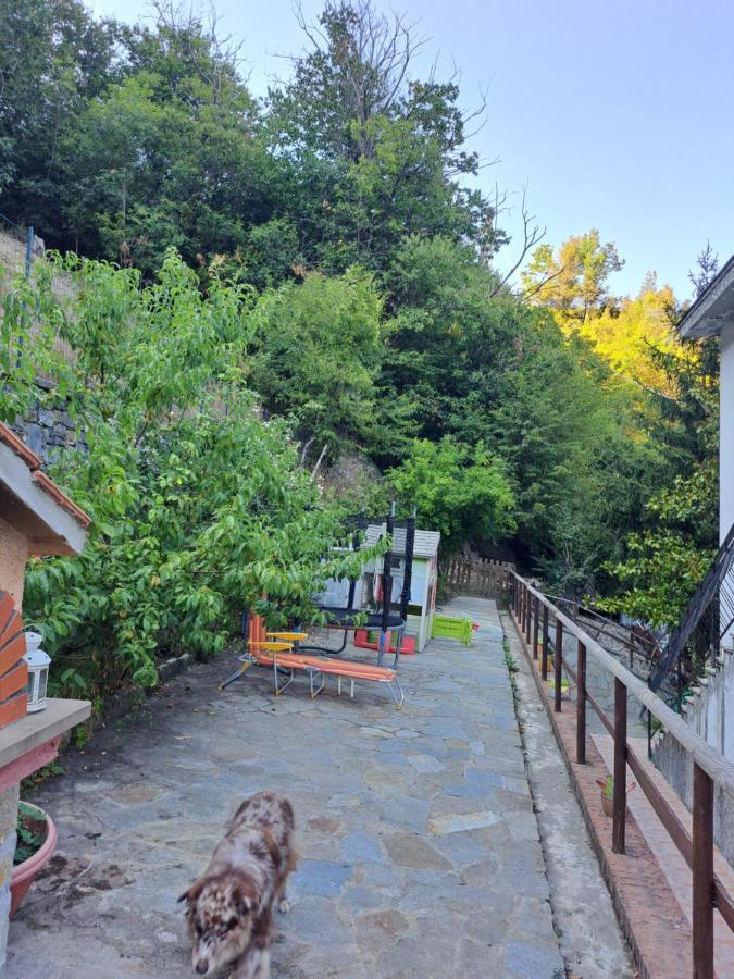 The Giaggiolo'S House Apartment Serra Ricco Luaran gambar